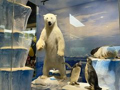 -国家自然博物馆