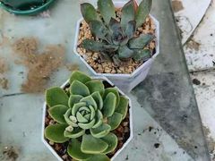-无锡文化工艺品市场(槐古路店)