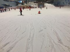 -哈尔滨热雪奇迹