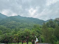 -九龙湾景区拓展会议