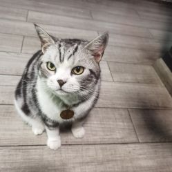 -荔刺青纹身·手穿孔饰品