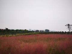 -郑东新区龙湖公共艺术中心