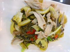 猪肚炒酸菜-潮州菜馆(十里河店)