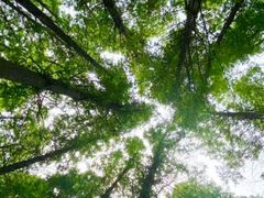 -渡海小渔村.老辈日照菜