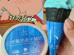 -小大董·烤鸭(王府井apm店)