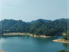 -河源万绿湖美思威尔顿酒店