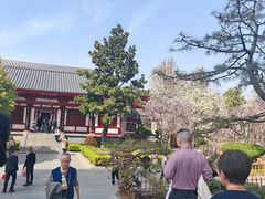 -大慈恩寺(大雁塔)