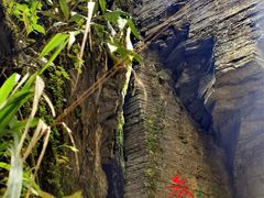 -蝶舞清江·恩施云顶景区(黄鹤峰林)