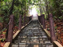 -田心森林公园