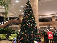-南京维景国际大酒店咖啡厅