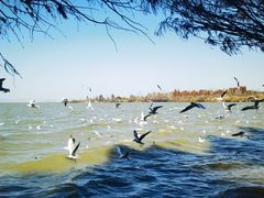 -捞渔河湿地公园