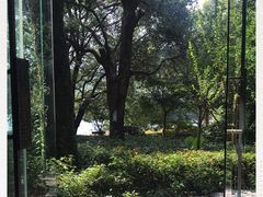 -羡餐厅·杭帮菜·淳菜(千岛湖自由洲际殿店)