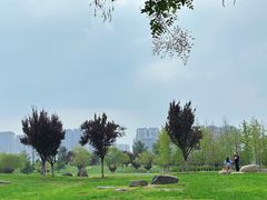 -汉长安城未央宫国家考古遗址公园