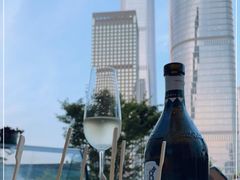-识酒猫 x SNAP(国贸商城店)