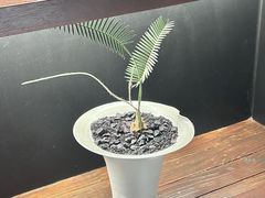 -九月里.自由花园餐厅