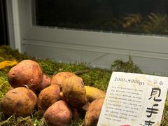 -滇野云南野生菌餐厅(陕西南路店)