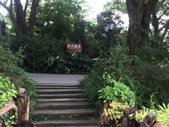 -龙山酒店温泉