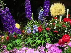 -人民公园(罗湖区)