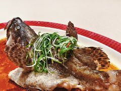 -圆苑(静安寺店)