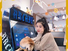 -豆柴町-柴犬主题狗咖(红鼎国际C座店)