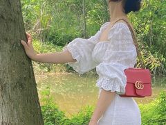 -桤木河湿地公园