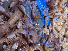 -澜悦港海鲜体验主题餐厅