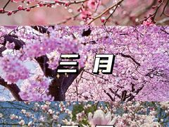 -沉浸北京·团建旅行·密室剧本杀·年会会议轰趴拓展