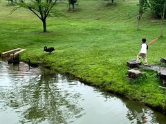 -南京市无想山景区