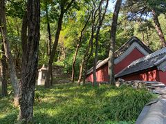-北京上方山国家森林公园