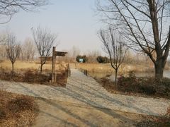 -淇河国家湿地公园