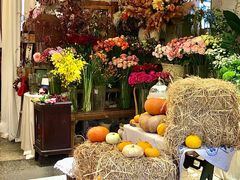 -知物癖(牛王庙店)