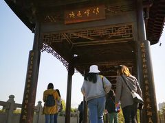-飞来湖湿地公园