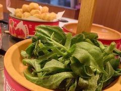 -龍歌自助小火锅(市南金茂湾店)