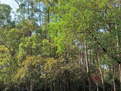 -南国桃园旅游度假区