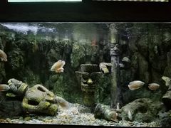 -北海海底世界
