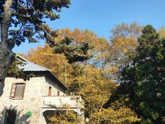-莫干山风景区