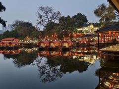 -侨美·唐荔园·40年地道粤菜