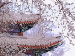 -颐和园