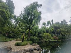-秋霞圃