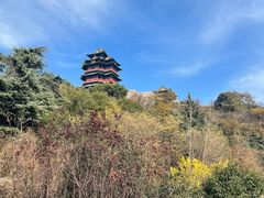 -阅江楼风景区