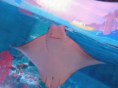 -沈阳海洋探索中心