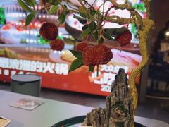 -故里和山·成都火锅(欢乐港湾店)