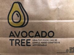 -油梨树AVOCADO TREE(望京店)