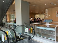 -佛山市妇幼保健院(新城院区)