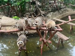 -长鹿旅游休博园