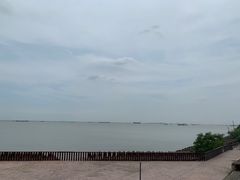 -上海滨江森林公园
