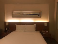 -上海浦东康桥绿地假日酒店
