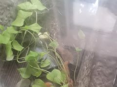 -花迹(富春江东街店)