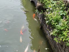 -苏州文庙(姑苏区)