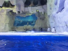 -华夏文旅海洋公园